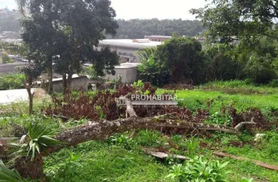 Terreno à venda, 768 m² por r$ 380.000,00 - jardim novo parelheiros - são paulo/sp