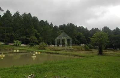 Área à venda, 12067 m²  - jardim eucaliptos - são paulo/sp
