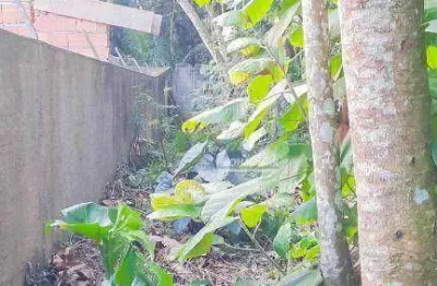 Terreno à venda, 500 m² por r$ 200.000,00 - jardim das palmeiras (zona sul) - são paulo/sp
