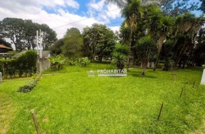 Terreno à venda na Rua David Nicolai, --, Jardim das Palmeiras (Zona Sul), São Paulo
