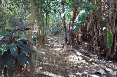 Terreno comercial à venda na Rua dos Secadouros, --, Vila Carmosina, São Paulo