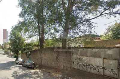 Terreno comercial para alugar na Rua Professora Heloísa Carneiro, --, Jardim Aeroporto, São Paulo