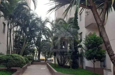 Apartamento com 3 dormitórios à venda na vila inglesa