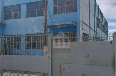 Barracão / Galpão / Depósito para alugar na Rua Pedro SantaLúcia, --, Interlagos, São Paulo