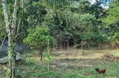 Terreno à venda na Rua Fábio Constantini, --, Jardim Shangrilá (Zona Sul), São Paulo