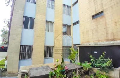 Apartamento com 3 quartos para alugar na Rua Mamoneira, --, Parque das Árvores, São Paulo