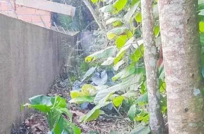 Terreno à venda, 500 m² por R$ 200.000,00 - Jardim das Palmeiras (Zona Sul) - São Paulo/SP