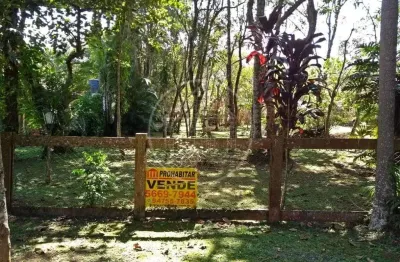 Terreno à venda, 250 m² por R$ 170.000.000,00 - Jardim das Palmeiras (Zona Sul) - São Paulo/SP