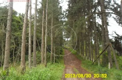 Chácara Rural à venda, Balneário São José, São Paulo - CH0054.