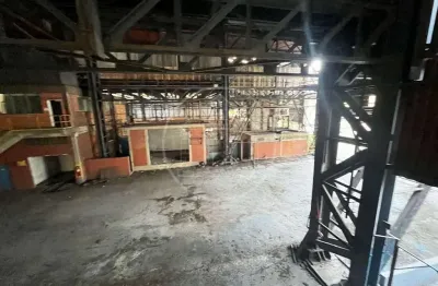 Barracão / Galpão / Depósito com 5 salas para alugar na Vila Água Funda, São Paulo 