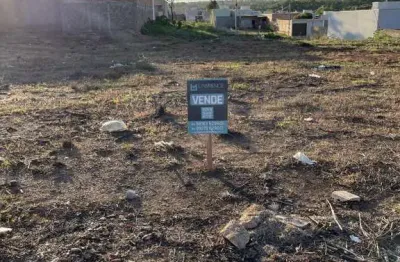 Lote para venda em caldas novas, residencial lago de cristal