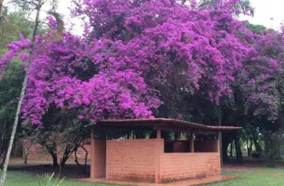Chácara / sítio com 4 quartos à venda no Brazlândia, Brasília 