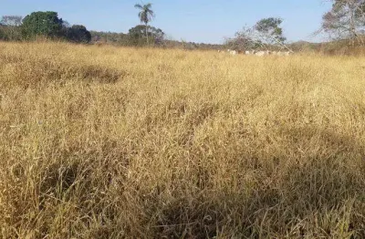 Chácara / sítio à venda na Avenida Central, Jardim Nova Esperança, Goiânia