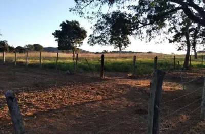 Chácara / sítio à venda na Avenida Central, Jardim Nova Esperança, Goiânia