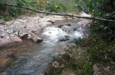 Chacara rica em agua 04 alqueires municipio cocalzinho