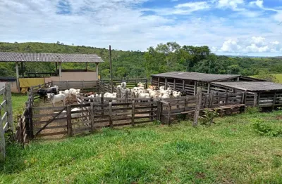 Fazenda à venda na Avenida Bernardo Sayão, 10, Setor Centro Oeste, Goiânia