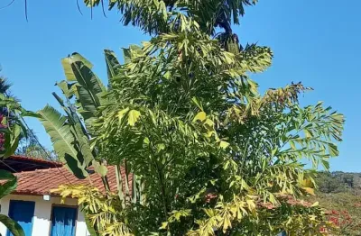 Fazenda com 2 salas à venda na Alameda do Botafogo, 20, Setor Central, Goiânia