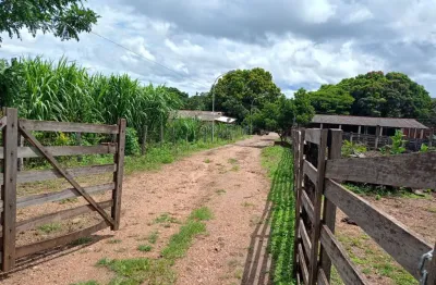 Fazenda com 2 salas à venda na Avenida Honestino Guimarães, Setor Campinas, Goiânia