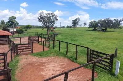 Fazenda com 3 salas à venda na Avenida Dorival de Carvalho, 2, Centro, Jataí