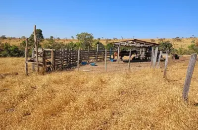 Fazenda com 2 salas à venda na Praça Doutor Pedro Ludovico Teixeira, 6, Setor Central, Goiânia