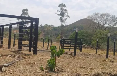 Fazenda 21 alqueires municpio uruana  terra cultura