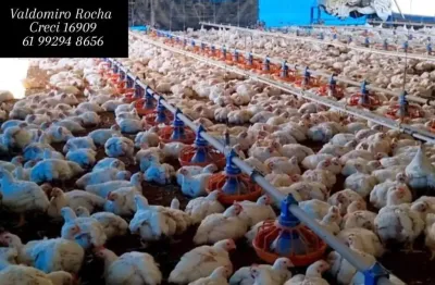 Fazenda com 3 salas à venda na Núcleo Rural Incra 6, 2, Brazlândia, Brasília