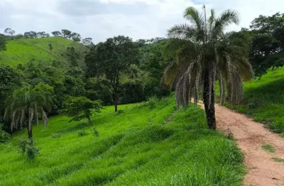 Fazenda com 2 salas à venda na Avenida Goiás, Setor Central, Goiânia