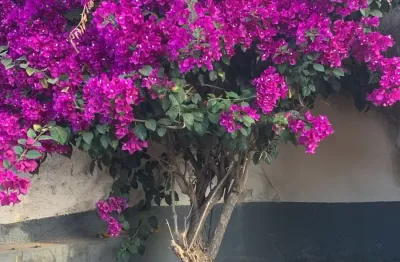 Casa em condomínio fechado com 4 quartos à venda na Conjunto SHA Conjunto 3 Chácara 72, 5, Setor Habitacional Arniqueira (Águas Claras), Brasília
