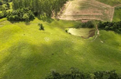 Fazenda estruturada para gado com 95 hectares a 5km do centro de salete – aceita permuta!