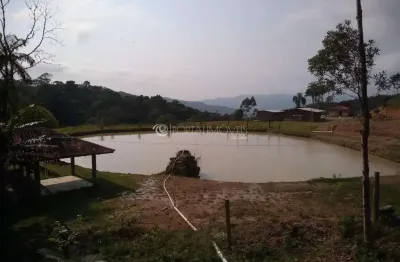 Casa com 4 quartos à venda na Nova Trento, 01, Centro, Nova Trento