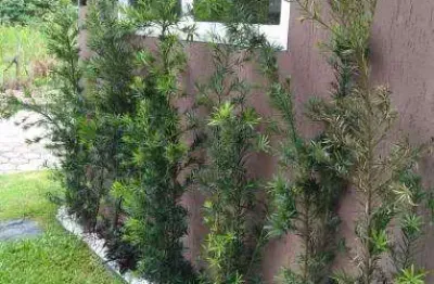 Casa em condomínio fechado com 2 quartos à venda na rua joaquim aurélio nabuco de araújo, capricórnio i, caraguatatuba, 77 m2 por r$ 380.000