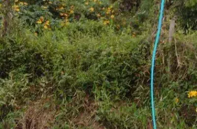 Terreno à venda na rua joaquim aurélio nabuco de araújo, balneário dos golfinhos, caraguatatuba, 340 m2 por r$ 150.000