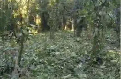 Terreno à venda na barra do una, são sebastião , 3000 m2 por r$ 480.000