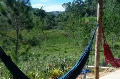 Chácara / sítio com 1 quarto à venda em pouso alto, natividade da serra , 1500 m2 por r$ 160.000