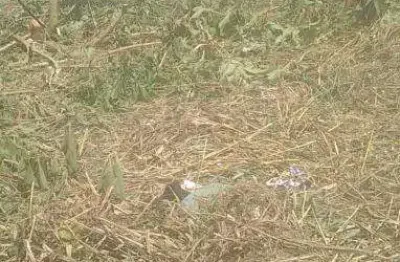 Terreno à venda no morro do algodão, caraguatatuba , 250 m2 por r$ 145.000