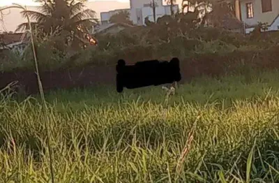 Terreno à venda na praia das palmeiras, caraguatatuba , 2000 m2 por r$ 4.990.000