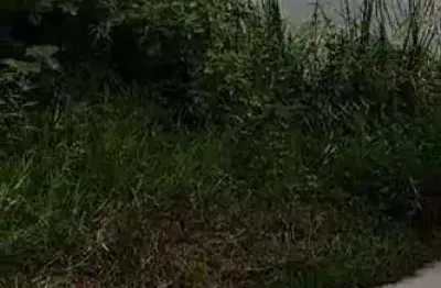 Terreno à venda no balneário dos golfinhos, caraguatatuba , 319 m2 por r$ 215.000