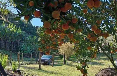 Terreno à venda no bairro do cedro, paraibuna , 1005 m2 por r$ 220.000