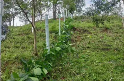 Terreno à venda no pegorelli, caraguatatuba , 2000 m2 por r$ 120.000