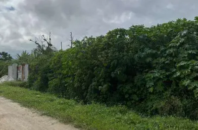 Terreno à venda no loteamento jardim das palmeiras, caraguatatuba , 150 m2 por r$ 80.000