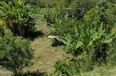 Casa com 3 quartos à venda no pachi, natividade da serra , 5000 m2 por r$ 250.000