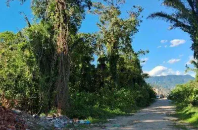 Terreno à venda no jardim das gaivotas, caraguatatuba , 175 m2 por r$ 120.000