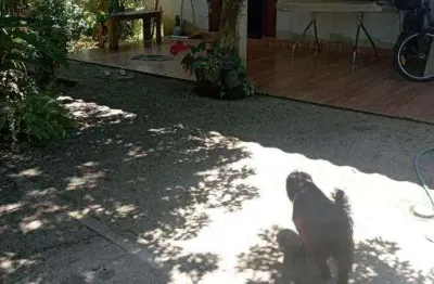 Casa com 2 quartos à venda no pegorelli, caraguatatuba , 300 m2 por r$ 230.000