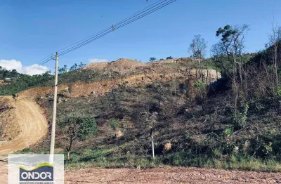 Terreno à venda, 5032 m² por r$ 265.000,00 - mairinque - mairinque/sp