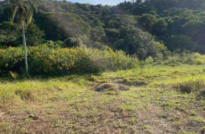 Terreno à venda, 125 m² por r$ 140.000,00 - chácara roselândia - cotia/sp