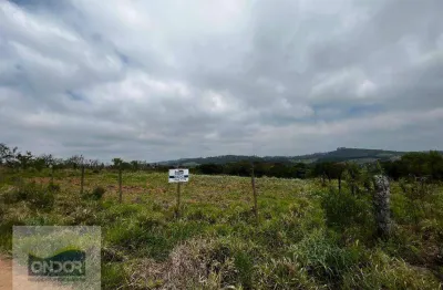 Terreno à venda, 3146 m² por r$ 335.000,00 - cachoeira - cotia/sp