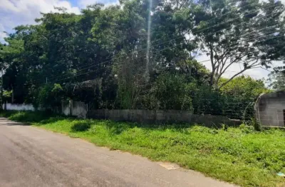 Chácara 3.000mts com casa velha - zona leste - abaixo do valor