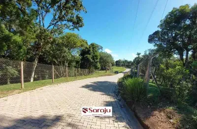 Chácara / sítio com 1 quarto à venda na Rodovia BR-277, 20875, Borda do Campo, São José dos Pinhais
