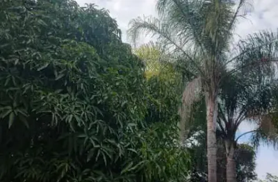Chácaras para venda em ipero no bairro não especificado