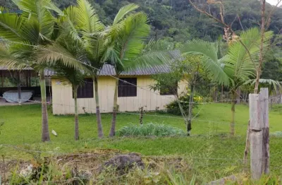 Chácara / sítio com 2 quartos à venda na Luís Alves, Zona Rural, Luiz Alves